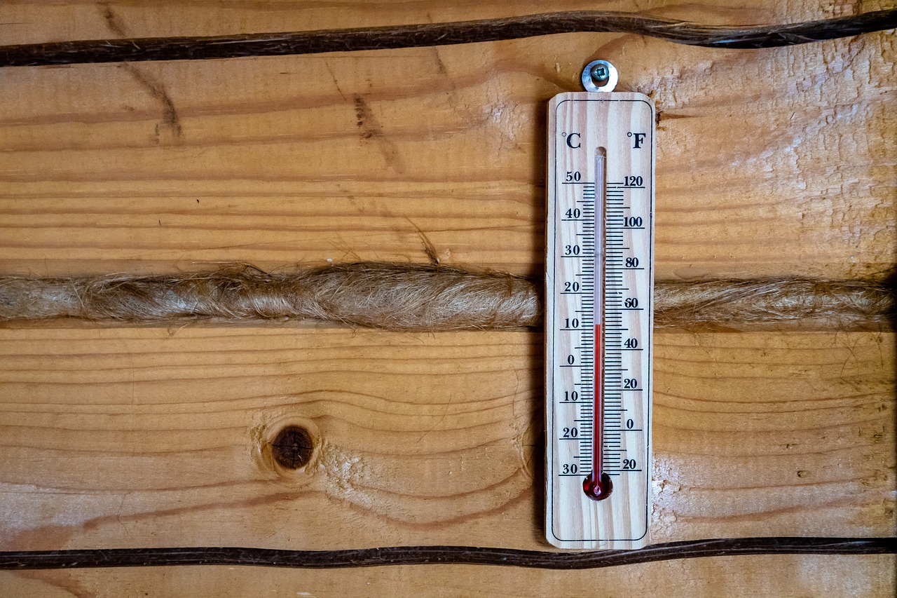 Sonde température connectée : Confort et précision pour votre maison
